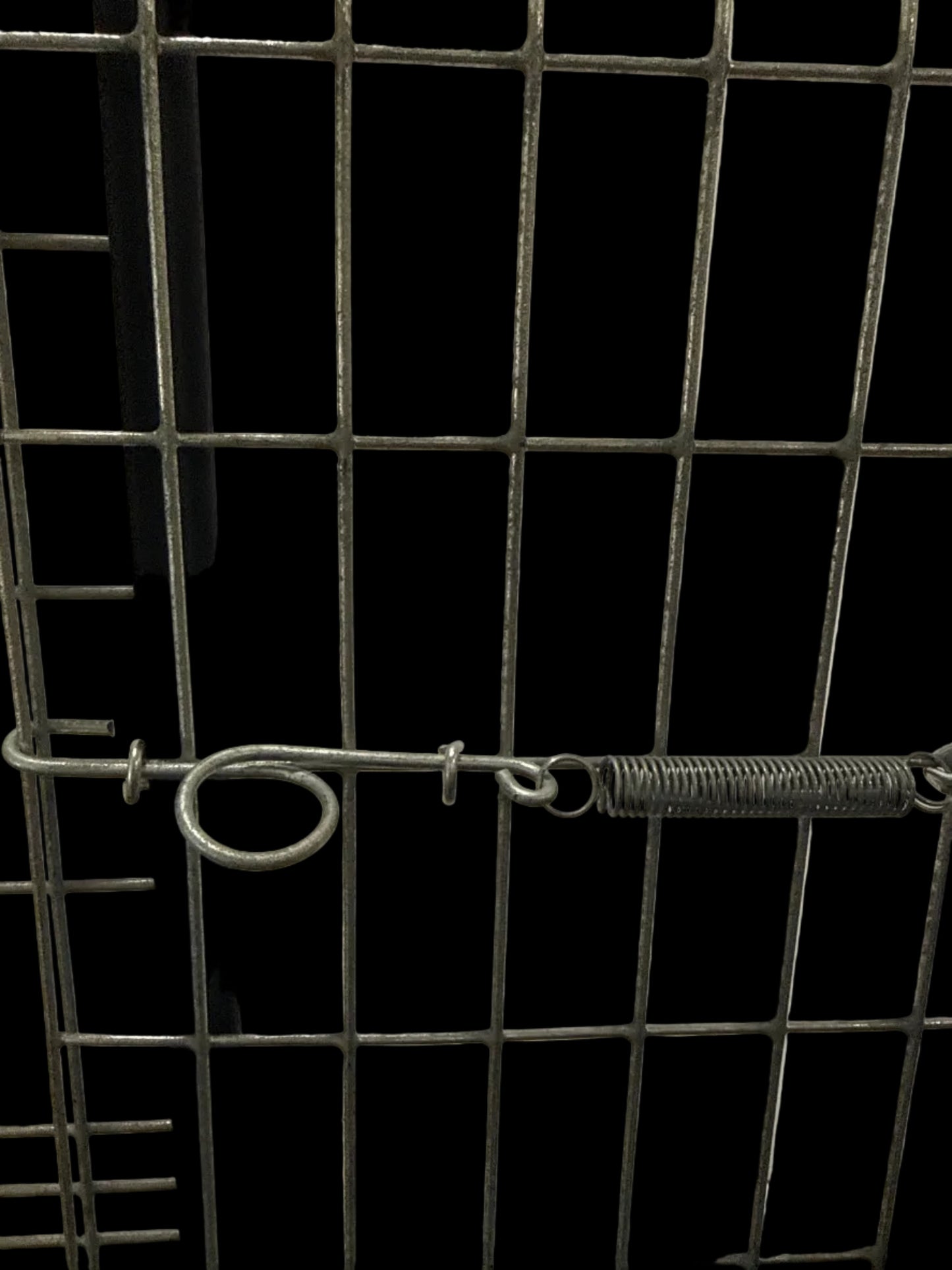 Cage Latches