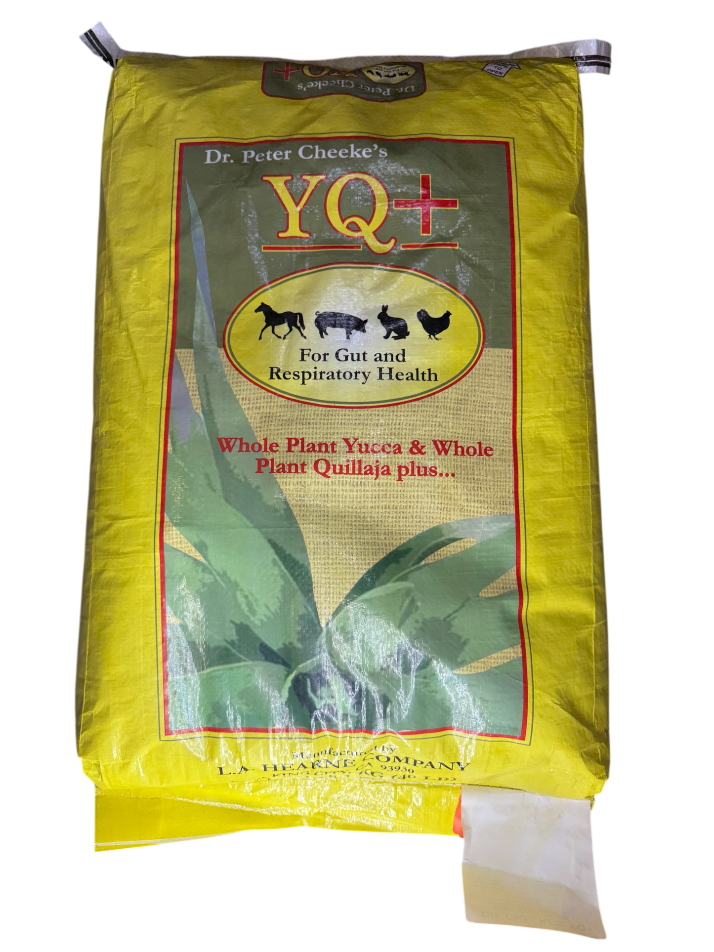 Dr. Cheek’s YQ+
