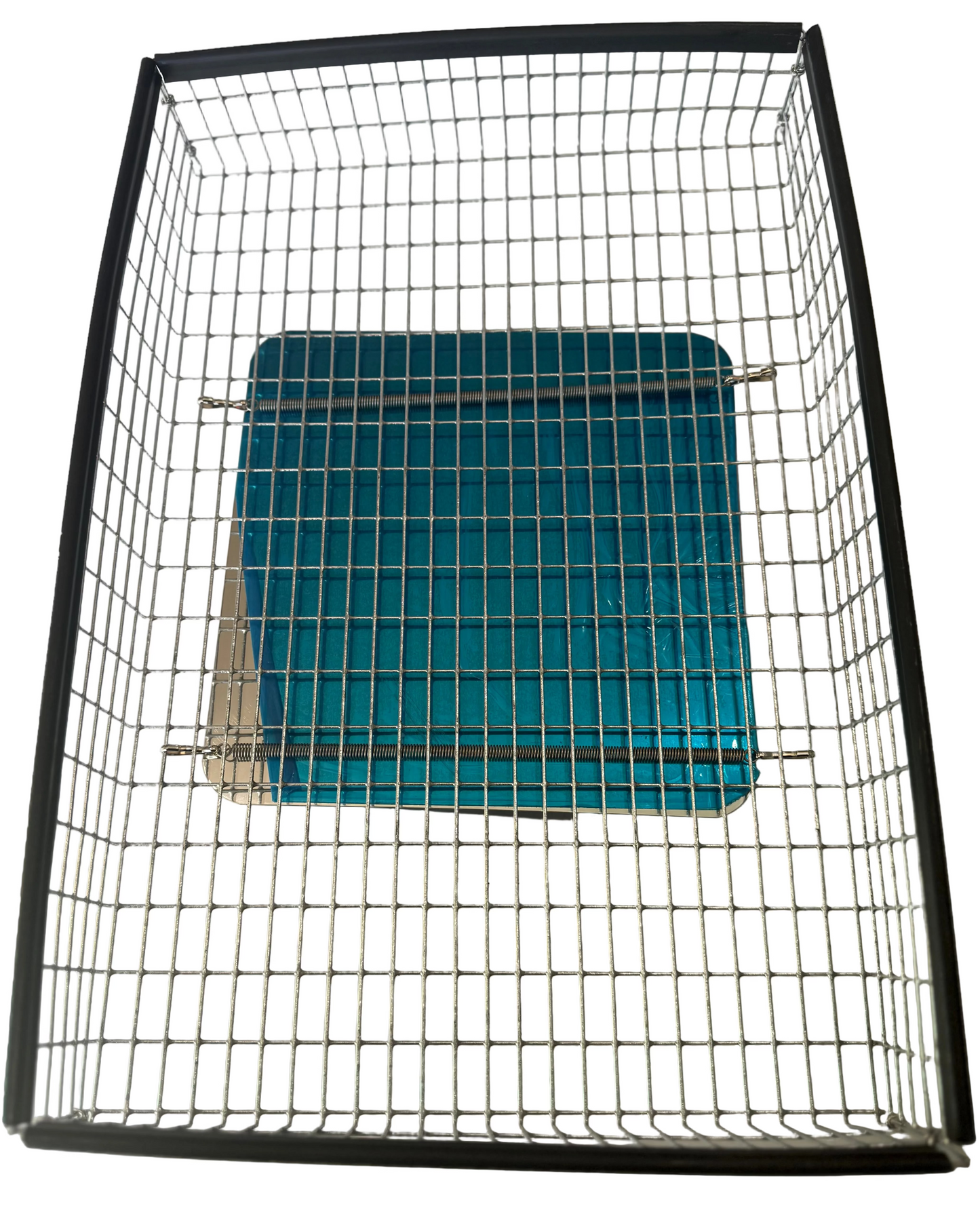Scale w/Basket