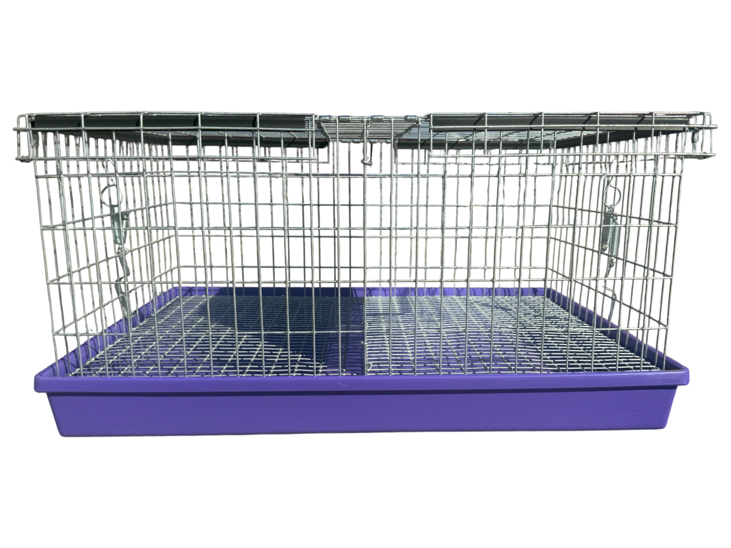 Two-Hole Carrier