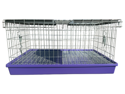 Two-Hole Carrier