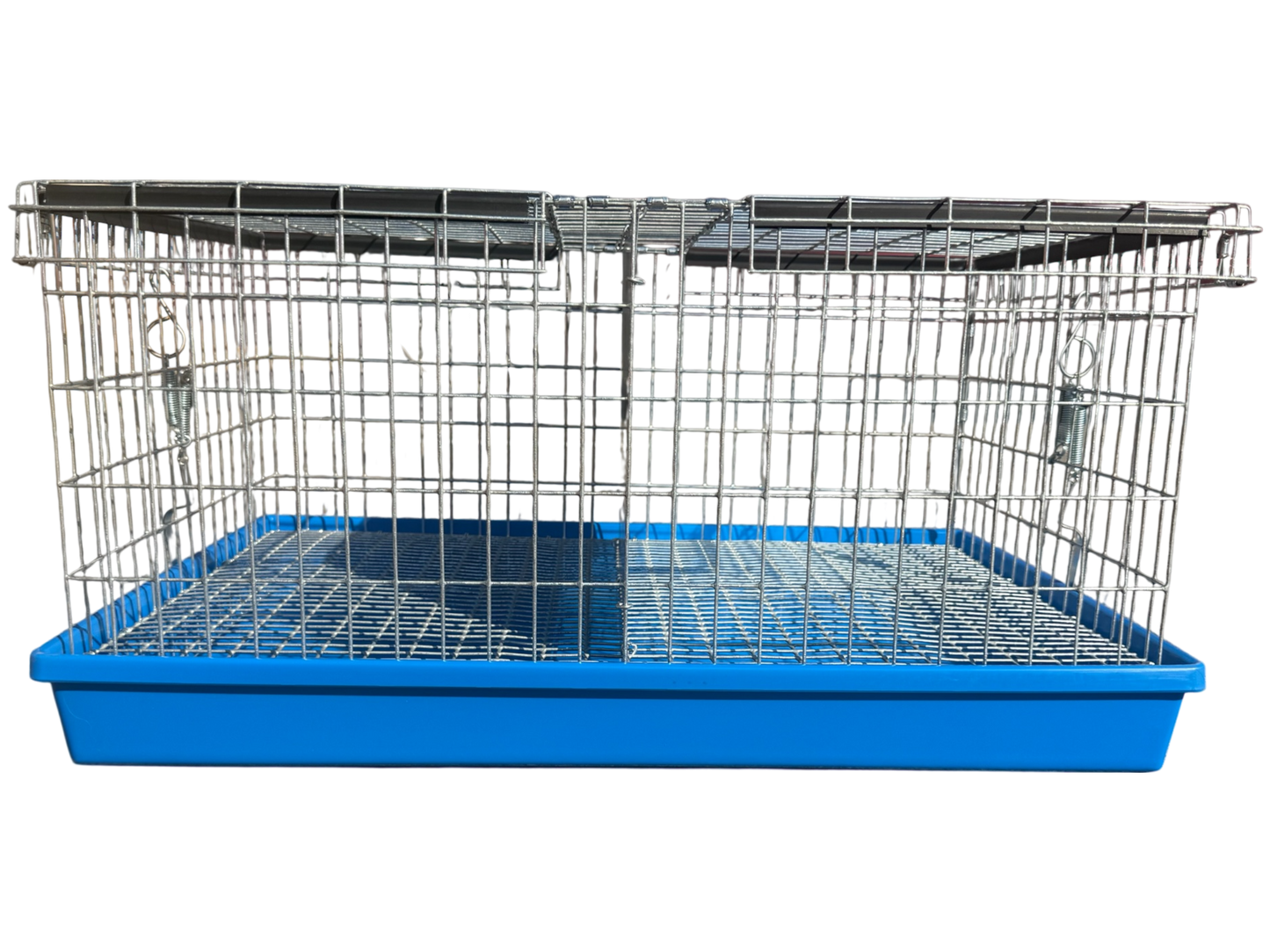 Two-Hole Carrier
