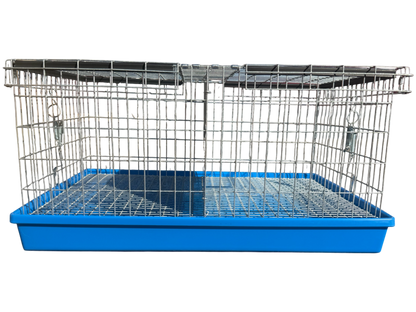 Two-Hole Carrier