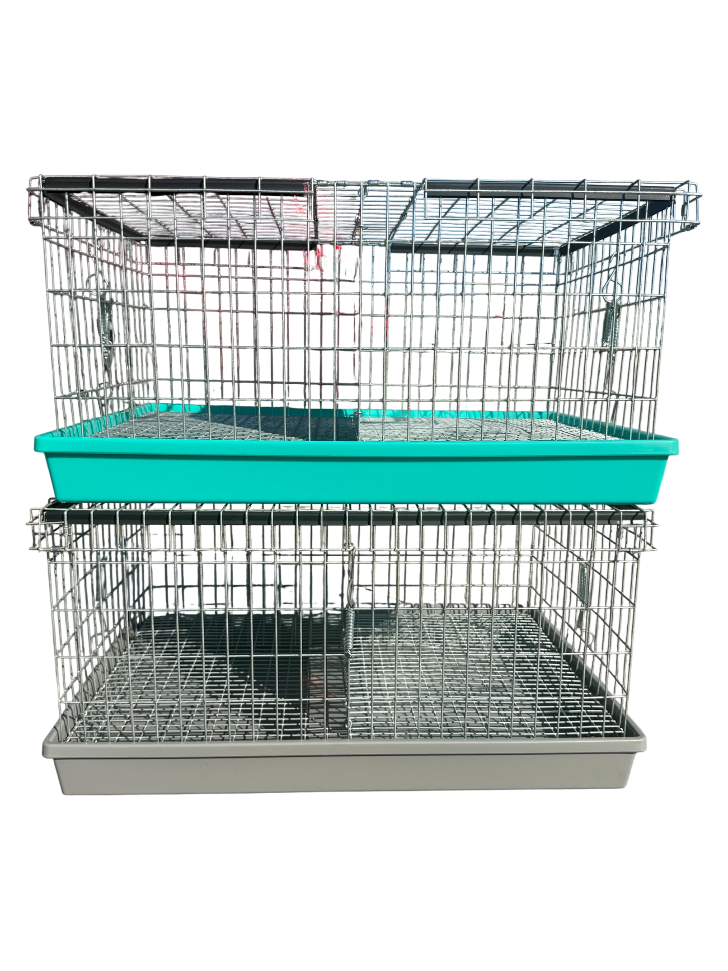 Two-Hole Carrier