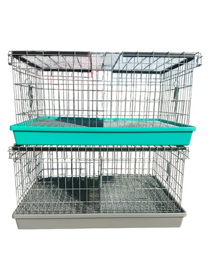 Two-Hole Carrier
