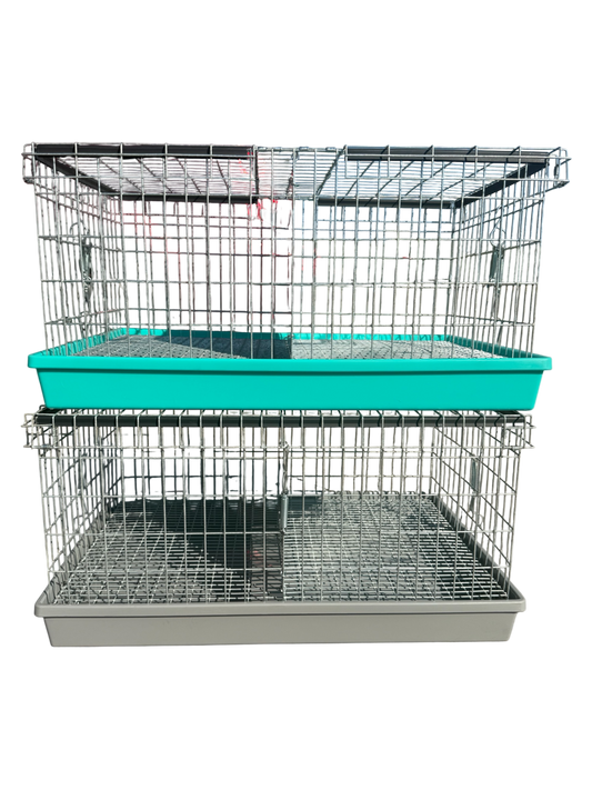 Two-Hole Carrier