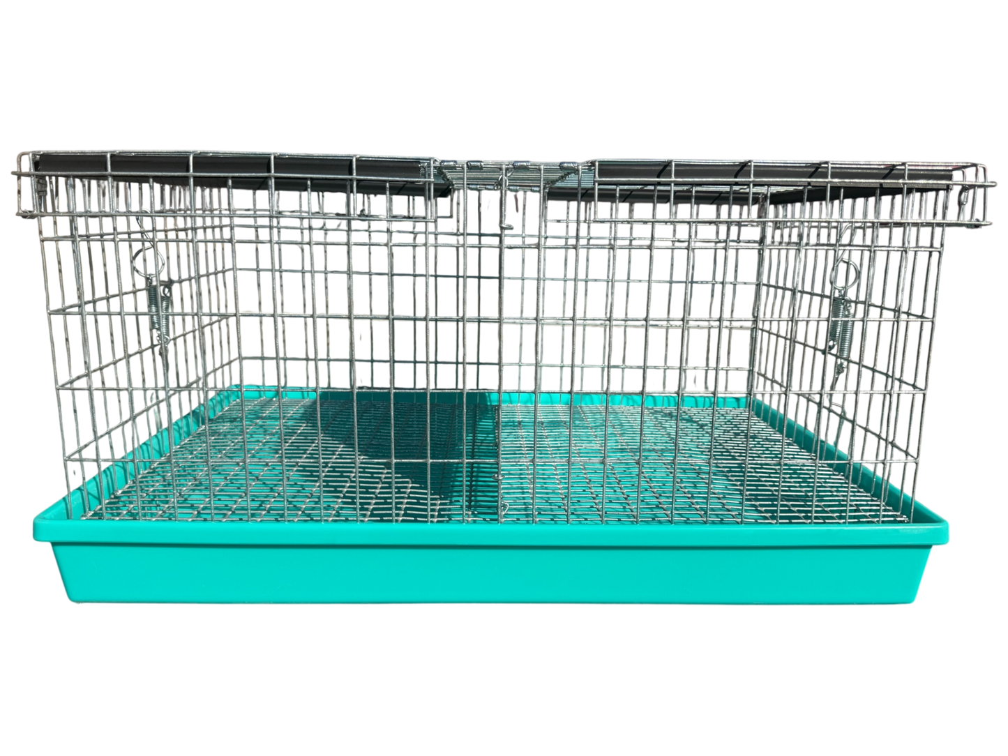 Two-Hole Carrier