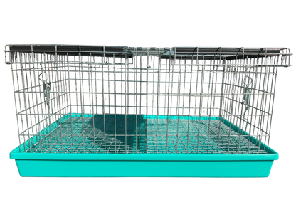 Two-Hole Carrier