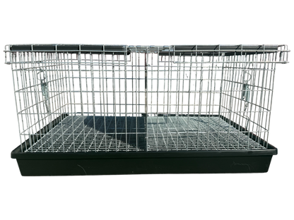 Two-Hole Carrier