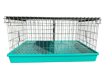 Two-Hole Carrier
