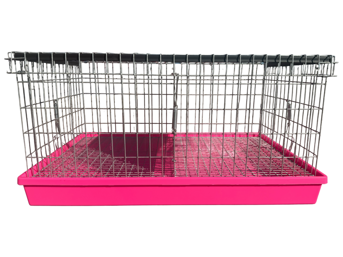 Two-Hole Carrier