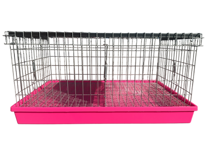 Two-Hole Carrier