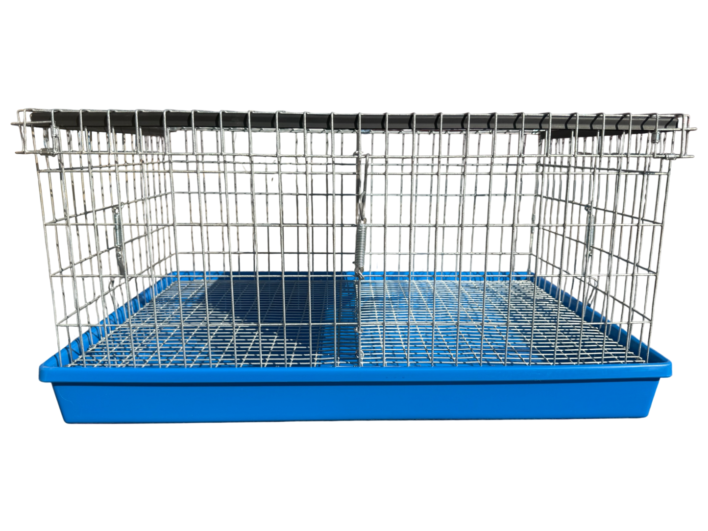 Two-Hole Carrier
