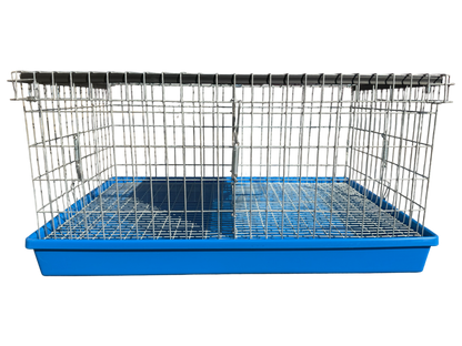 Two-Hole Carrier