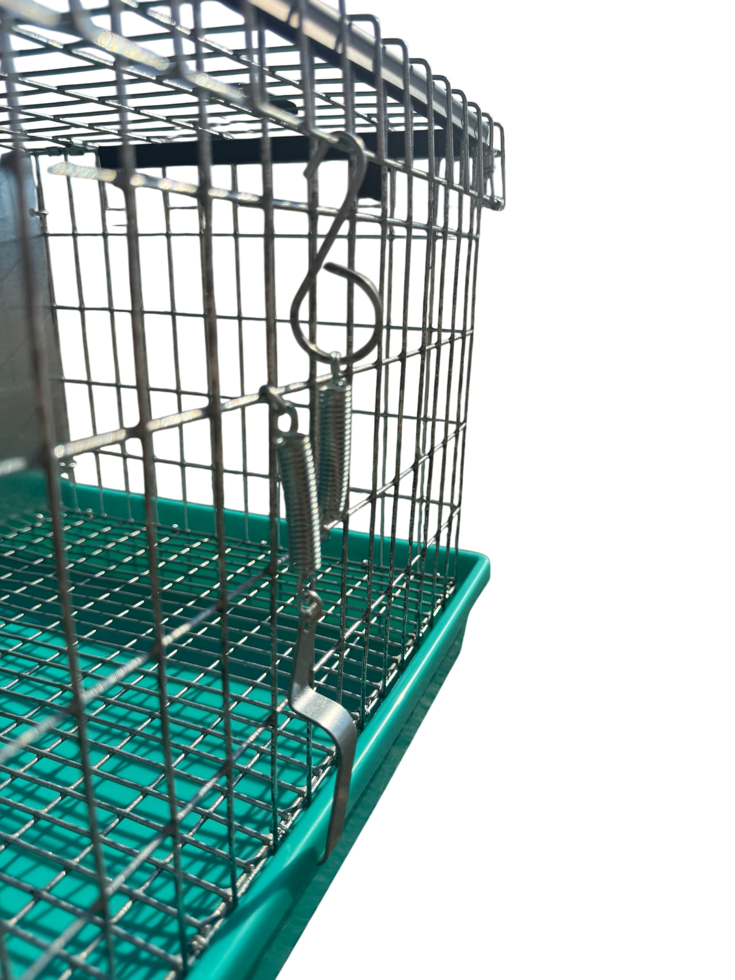 Two-Hole Carrier