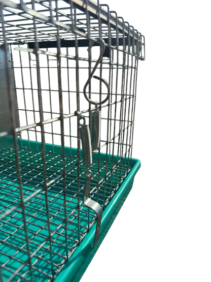Two-Hole Carrier