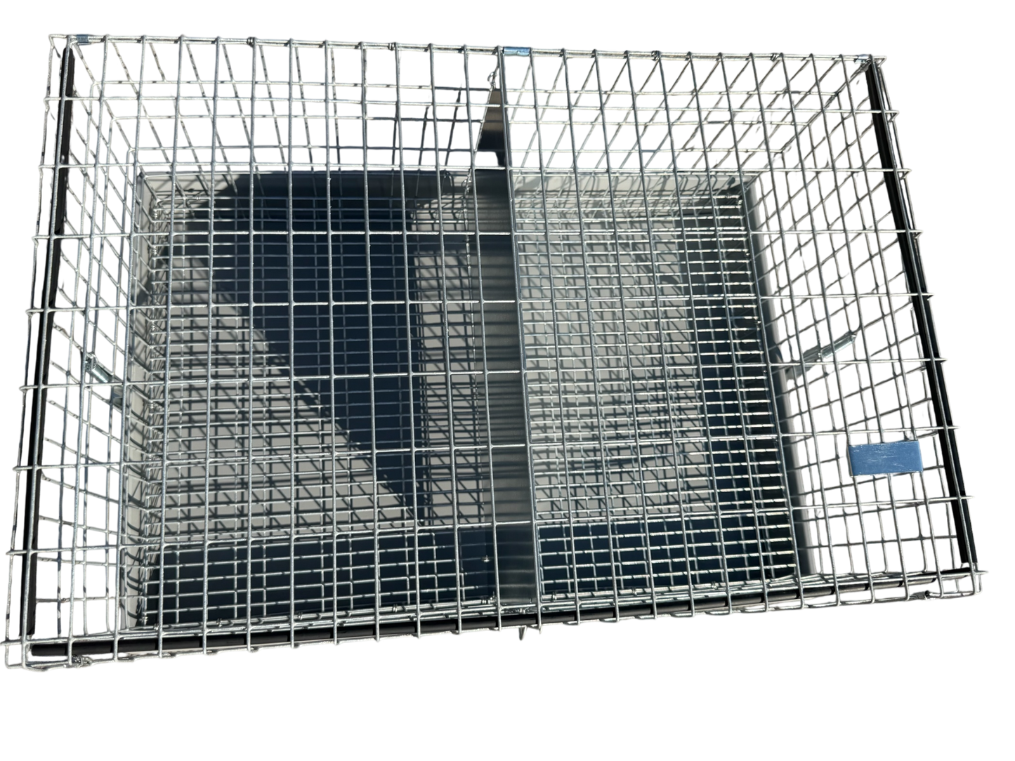 Two-Hole Carrier