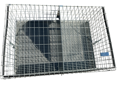 Two-Hole Carrier