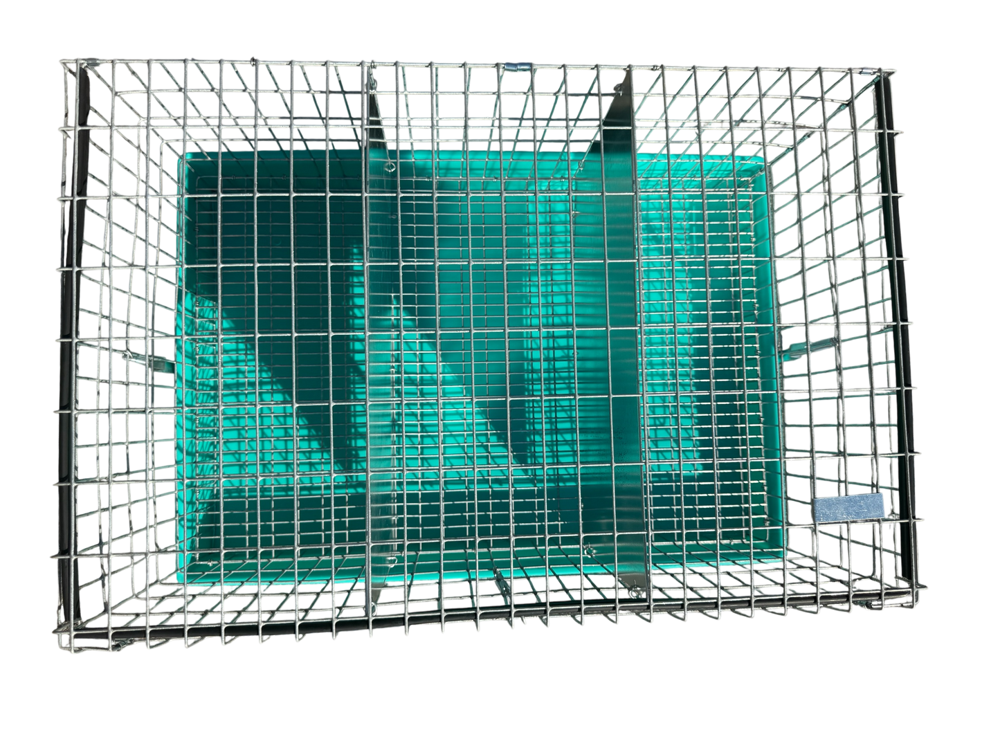 Three-Hole Carrier
