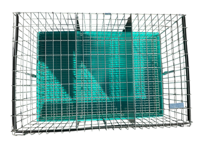 Three-Hole Carrier