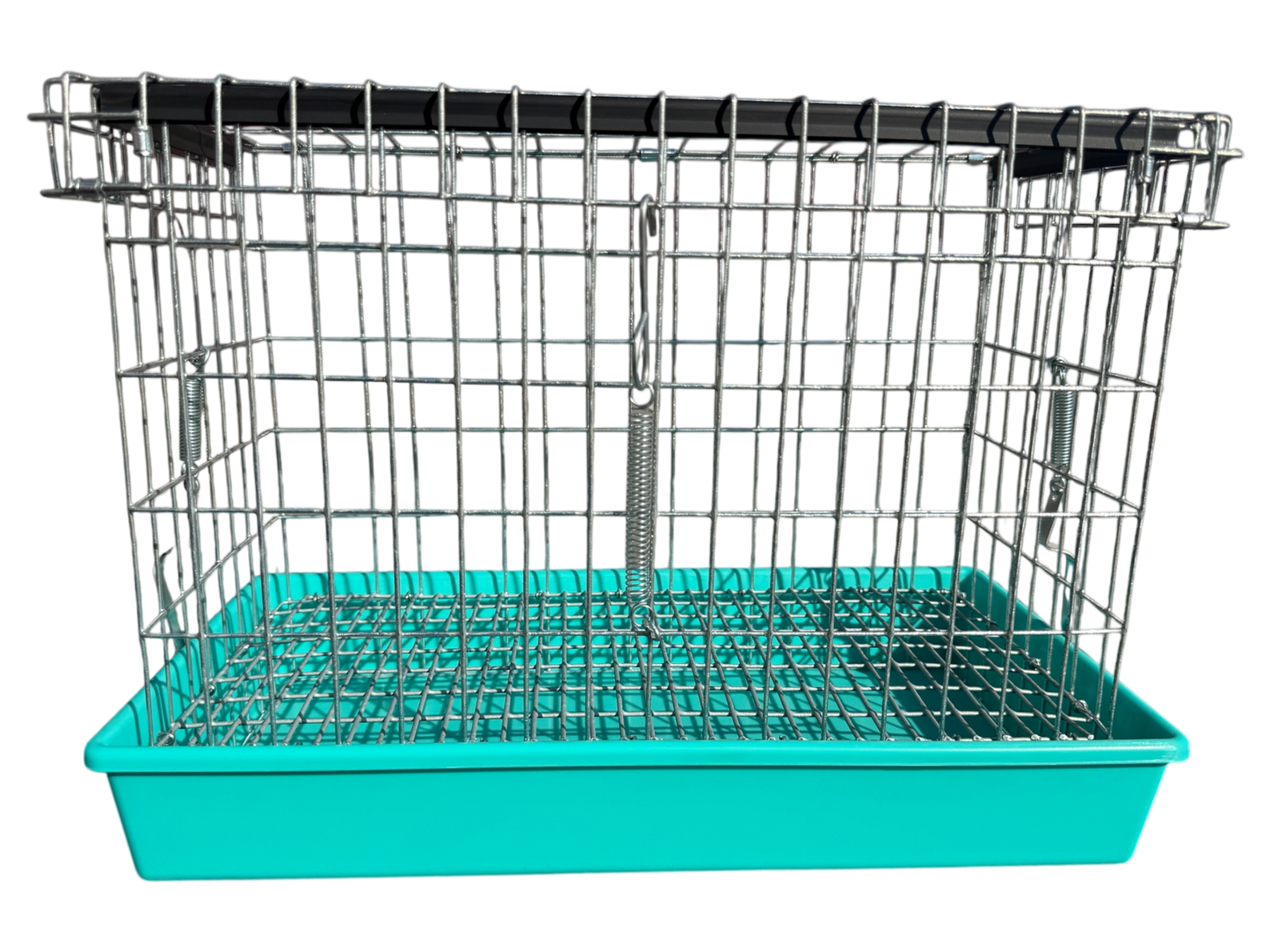 Single-Hole Carrier